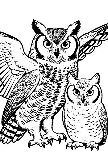 Great Horned Owl Pair in Majestic Stance