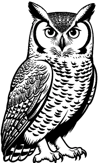 Majestic Great Horned Owl in Profile