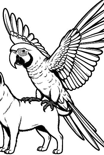 Cheerful Macaw Perched on Fluffy Dog's Back