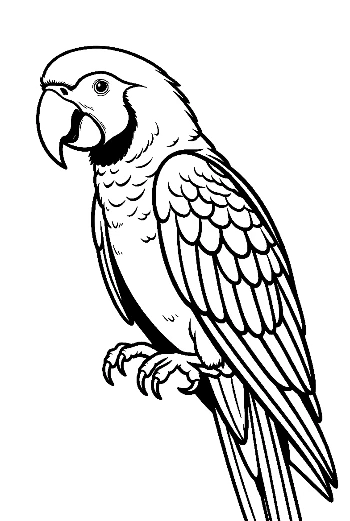Expressive Macaw Parrot Line Art