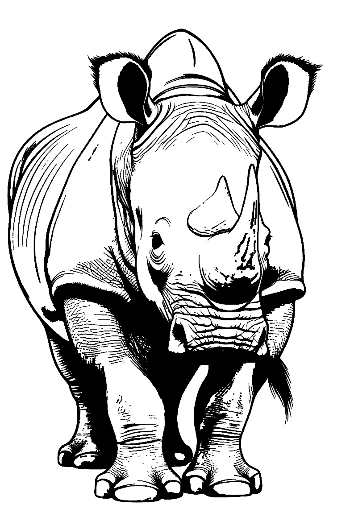 Majestic White Rhino Line Art