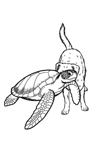 Curious Puppy Nosing Green Sea Turtle