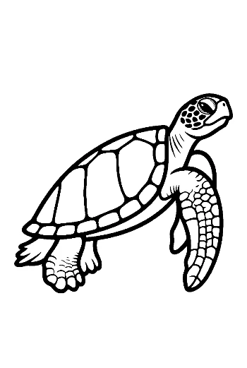 Cute Baby Sea Turtle Outline