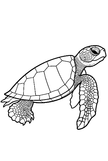 Cute Hatchling Sea Turtle Line Art
