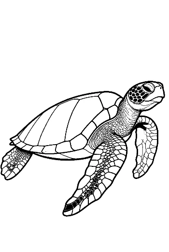 Graceful Green Sea Turtle Line Art