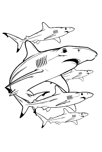 Group of Hammerhead Sharks Swimming