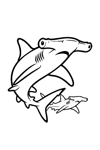 Hammerhead Shark Line Art Duo