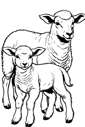 Mother Sheep and Lamb Standing Together