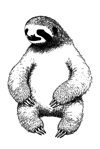 Chill Three-Toed Sloth Sketch