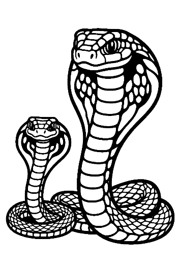 Mother Cobra and Baby Cobra