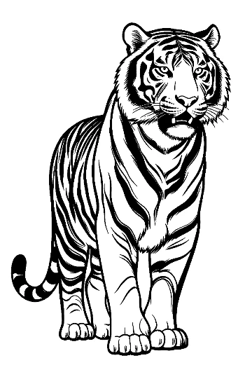 Fierce Bengal Tiger Outline Roaring
