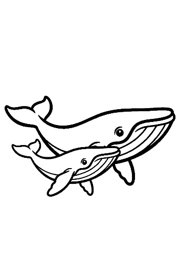 Mother Blue Whale and Calf Swimming Together