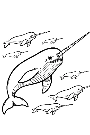 Playful Narwhal Family Swimming Together