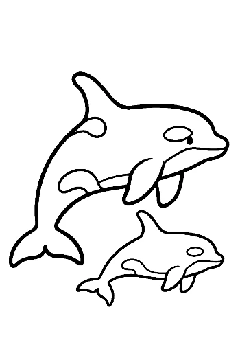 Mother Orca and Calf Leaping Joyfully