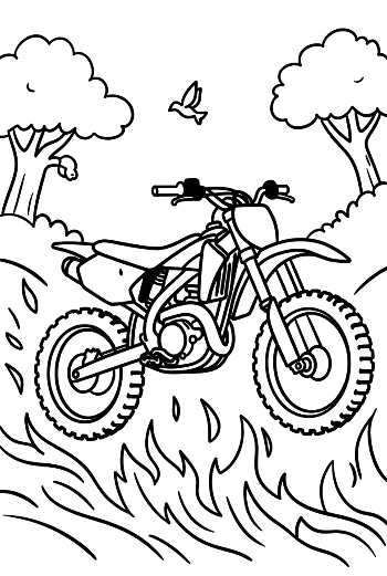 Fast Dirt Bike Racing Through Wild Grass Printable